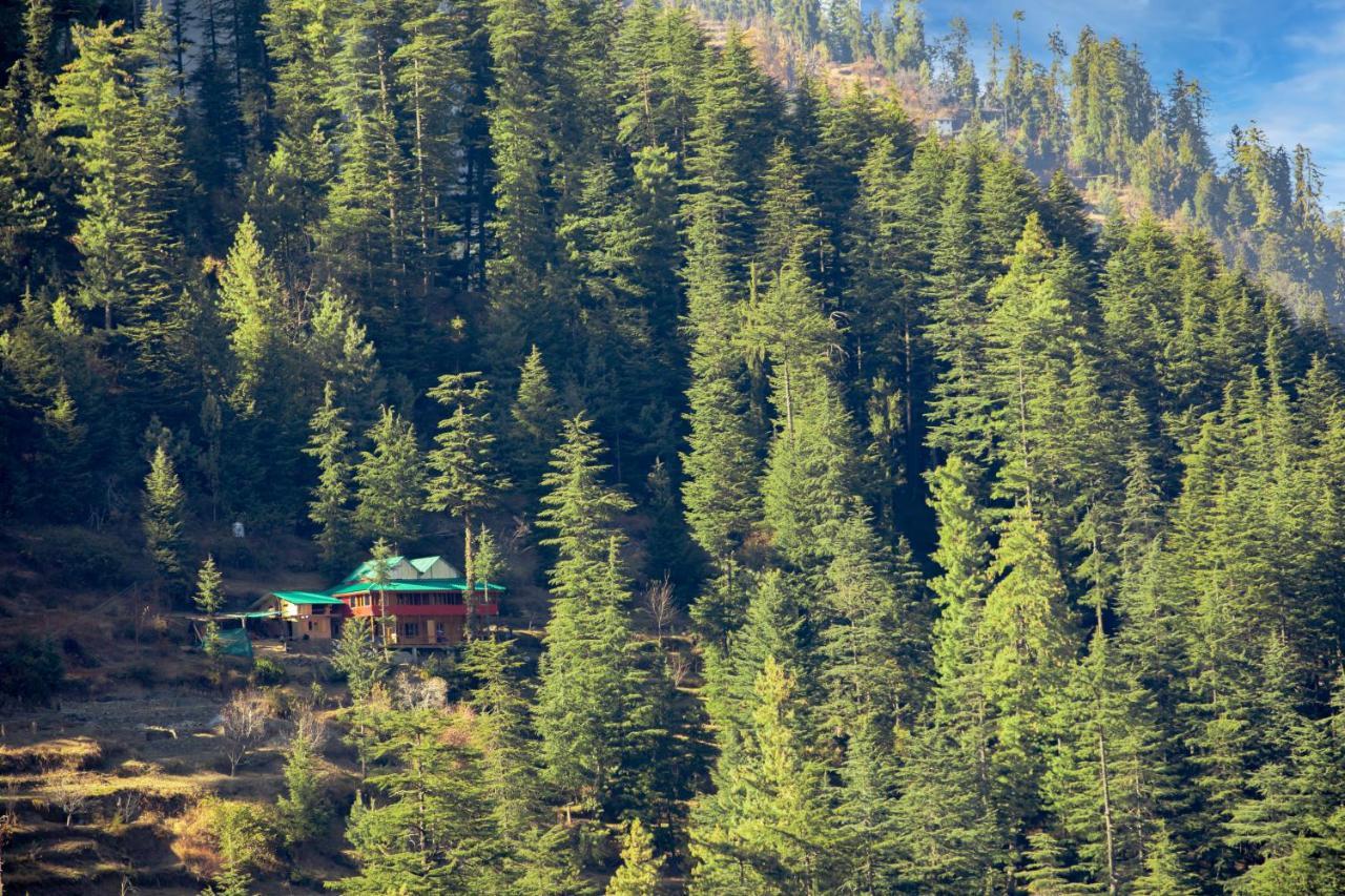 Freebird Nest Jibhi Hotell Eksteriør bilde