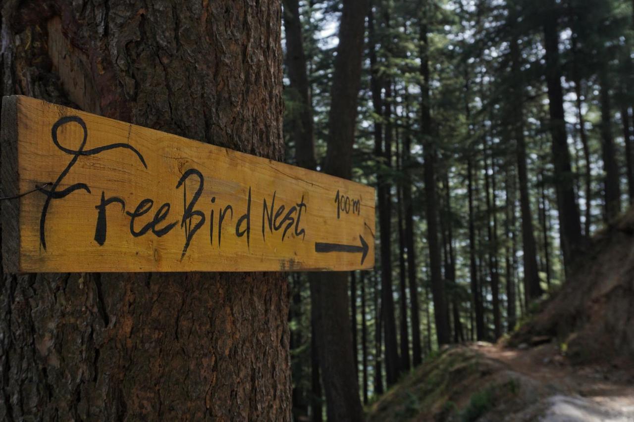 Freebird Nest Jibhi Hotell Eksteriør bilde